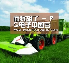 关于pg电子麻将胡了