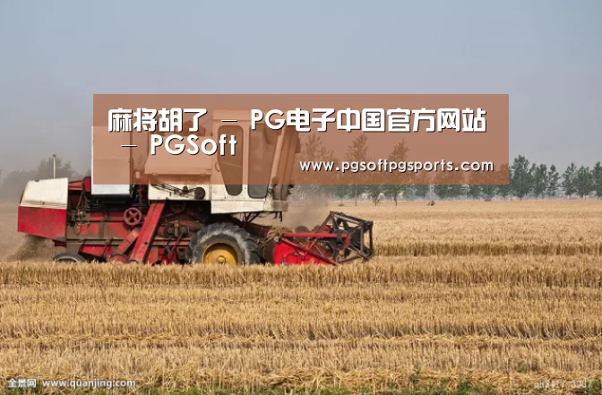 产品名称七(图1)
