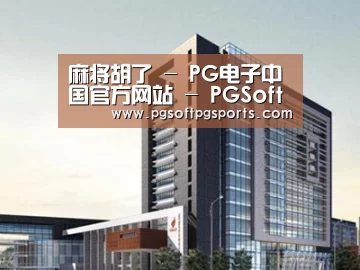 案例展示七