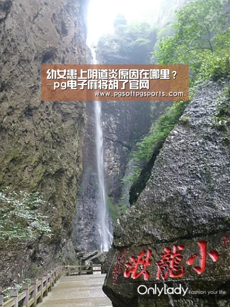 pg电子麻将胡了官网
