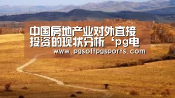 中国房地产业对外直接投资的现状分析‘pg电子麻将胡了’(图3)